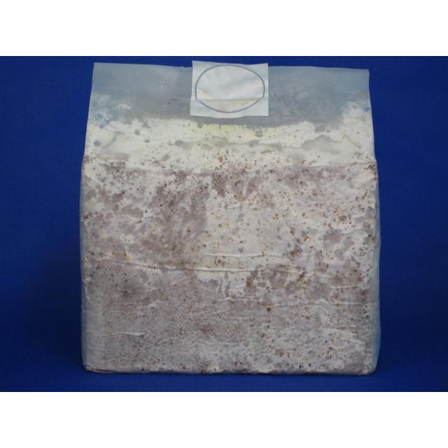 送料無料・KBファーム】【カワラタケ菌床・クワガタムシ幼虫飼育 送料無料・KBファーム】【カワラタケ菌床・クワガタムシ幼虫飼育