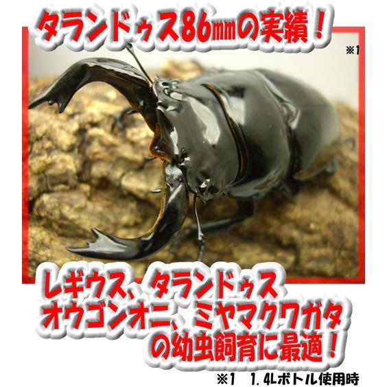 【送料無料・フジコン】カワラ茸RGボトル １，４Ｌ×６本セット　※商品説明をよくお読みの上、ご注文下さい。_1
