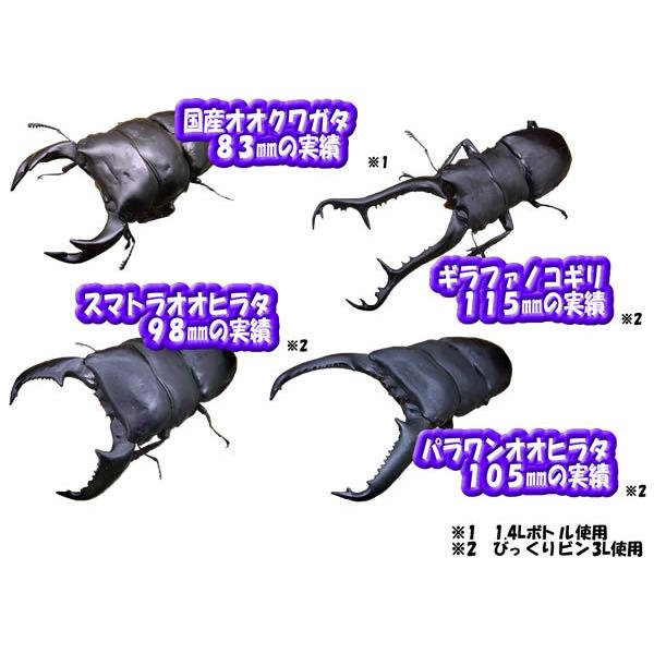 【送料無料・フジコン】オオヒラ茸DHボトル １，４Ｌ　２４本セット　※商品説明をよくお読みの上、ご注文下さい。_1