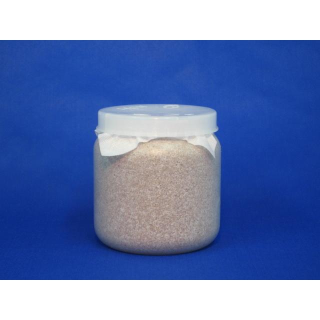 微創研【mother】菌糸ビン カワラエースCタイプ 粗目1400ml×8本セット ※商品説明をよくお読みの上、ご注文下さい。 :10072009:ペットグッズ りりあ - 通販 - 微創研【mother】菌糸ビン カワラエースCタイプ 粗目1400ml×8本セット ※商品説明をよくお読みの上、ご注文下さい。 :10072009:ペットグッズ りりあ - 通販 -