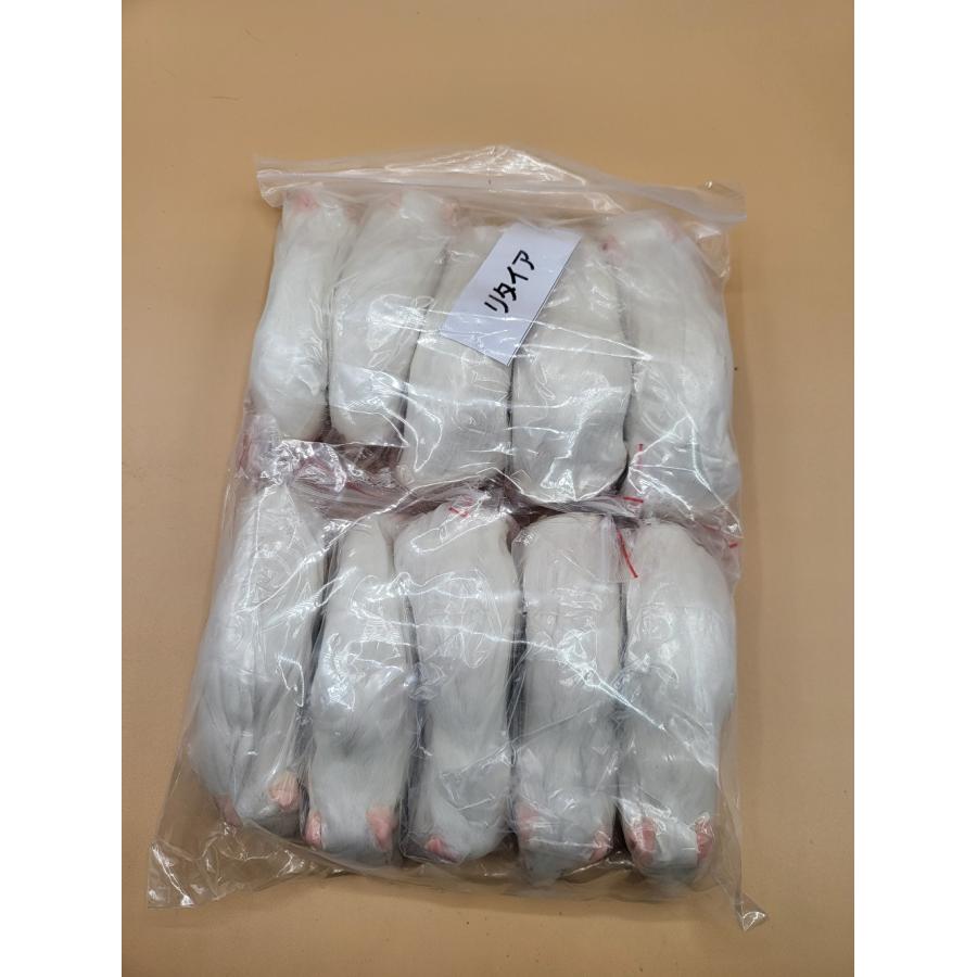 【送料無料】【富城物産・クール便発送】リタイアマウス / 10匹入り（Yahoo!・ペットグッズ りりあ）