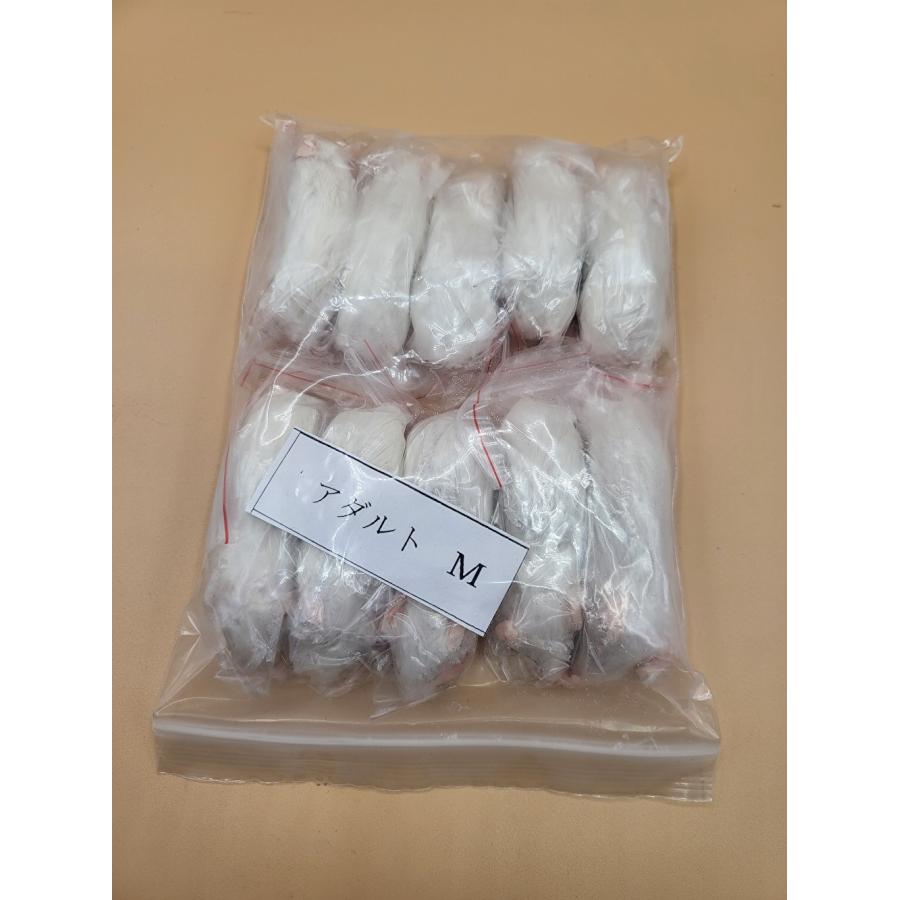 petgoods lirya 200003