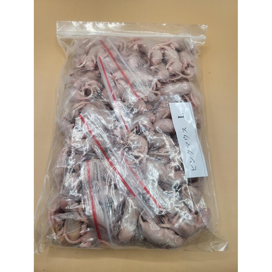 産冷凍マウス ピンクL 100匹(送料無料一部地域発送不可) 送料無料】【富城物産・クール便発送】ピンクマウス Lサイズ / 100匹