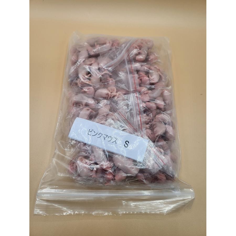 【送料無料】【富城物産・クール便発送】ピンクマウス Sサイズ / 100匹入り（Yahoo!・ペットグッズ りりあ）