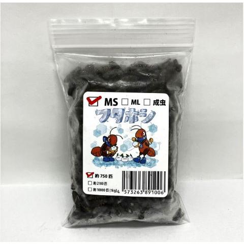 送料無料・邑楽ファーム・クール便発送】冷凍フタホシコオロギ MS