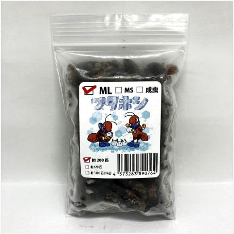 【送料無料・邑楽ファーム・クール便発送】冷凍フタホシコオロギ　ＭＬサイズ(約200匹入り)（Yahoo!・ペットグッズ りりあ）