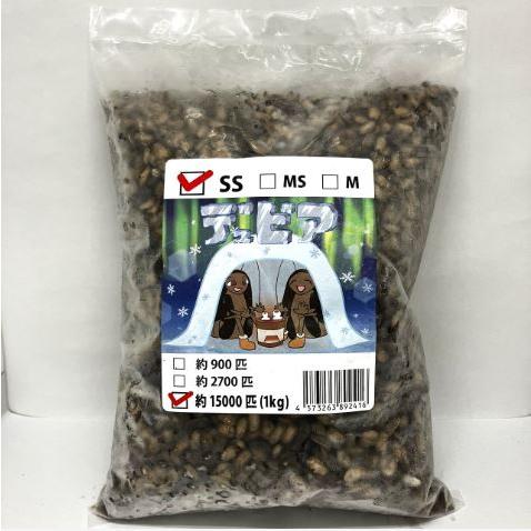 冷凍デュビア 送料無料・邑楽ファーム】【クール便発送】冷凍デュビア SSサイズ