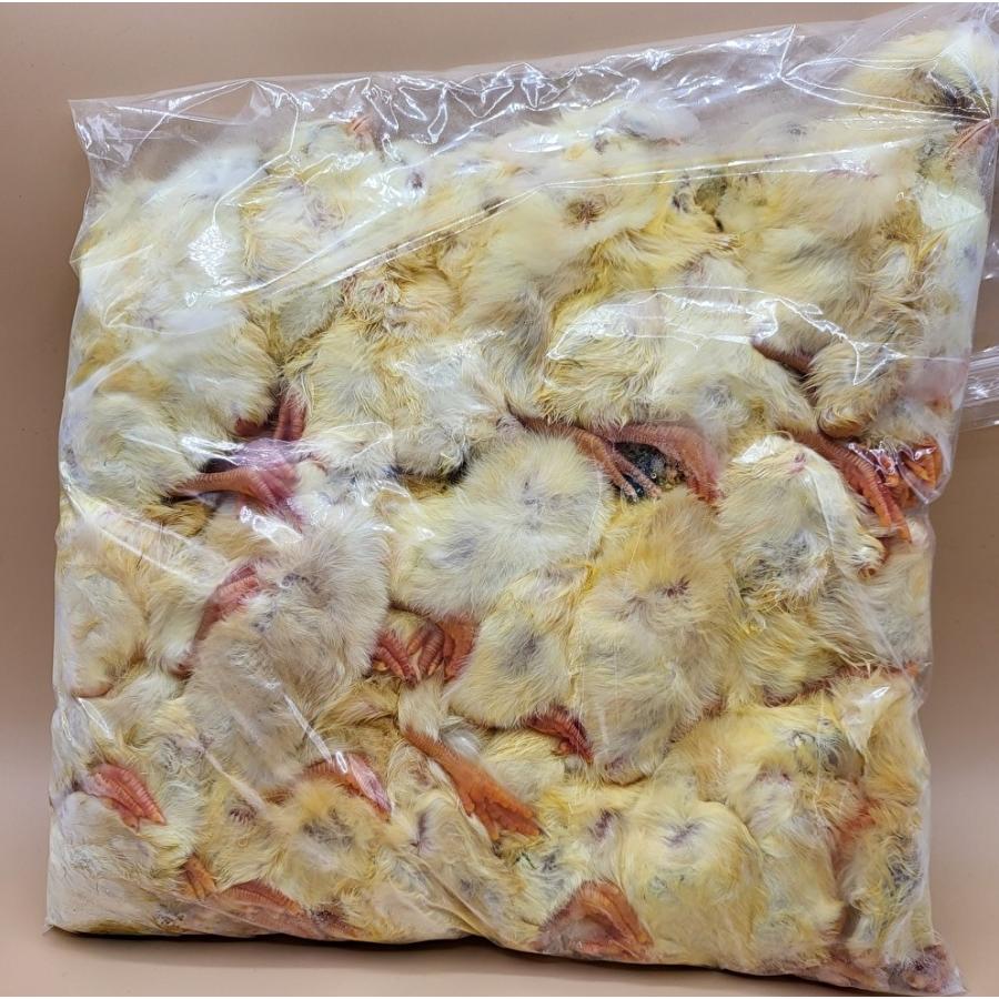 送料無料　冷凍ヒヨコ100羽　リタイア20匹 送料無料・クール便発送】国産冷凍ひよこ(雛) 120羽入り 猛禽類