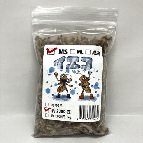 送料無料・邑楽ファーム・クール便発送】冷凍イエコオロギ MSサイズ