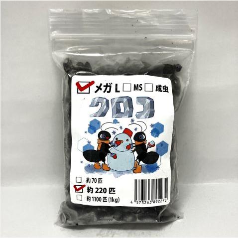 【送料無料・邑楽ファーム・クール便発送】冷凍クロコオロギ　メガＬサイズ(約220匹入り)（Yahoo!・ペットグッズ りりあ）