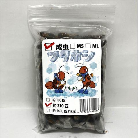 【送料無料・邑楽ファーム・クール便発送】冷凍フタホシコオロギ　成虫サイズ(約310匹入り)（Yahoo!・ペットグッズ りりあ）