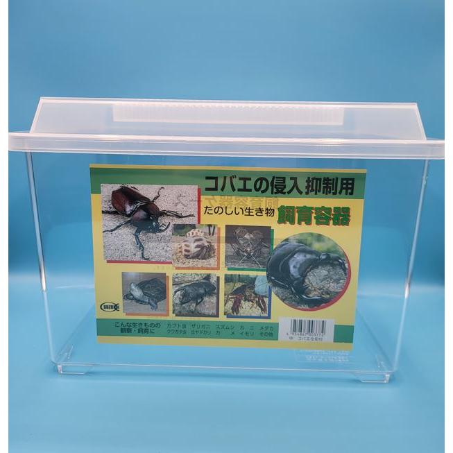 コバエ侵入抑制 飼育ケース 中サイズ （仕切りなし）290×185×205 1個 