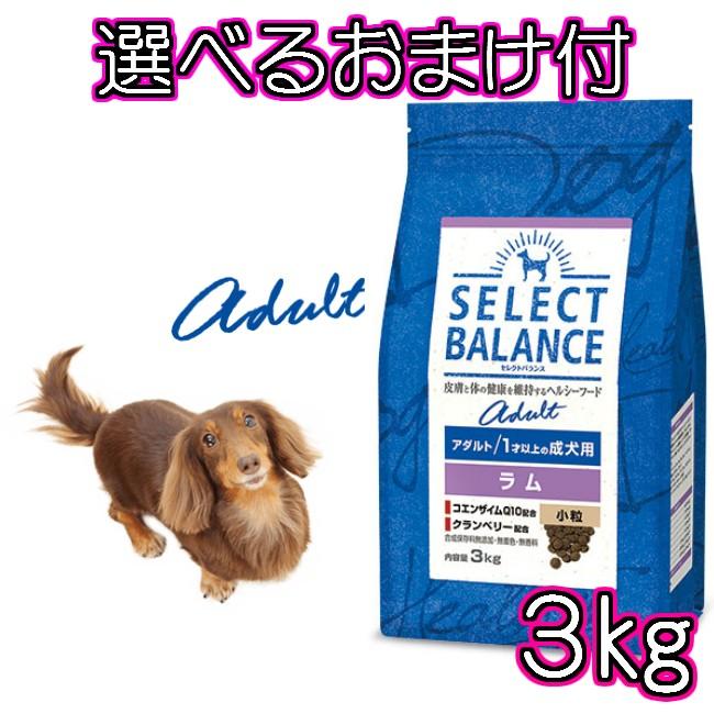 送料無料・選べるコング製品おまけ付】セレクトバランス・アダルト