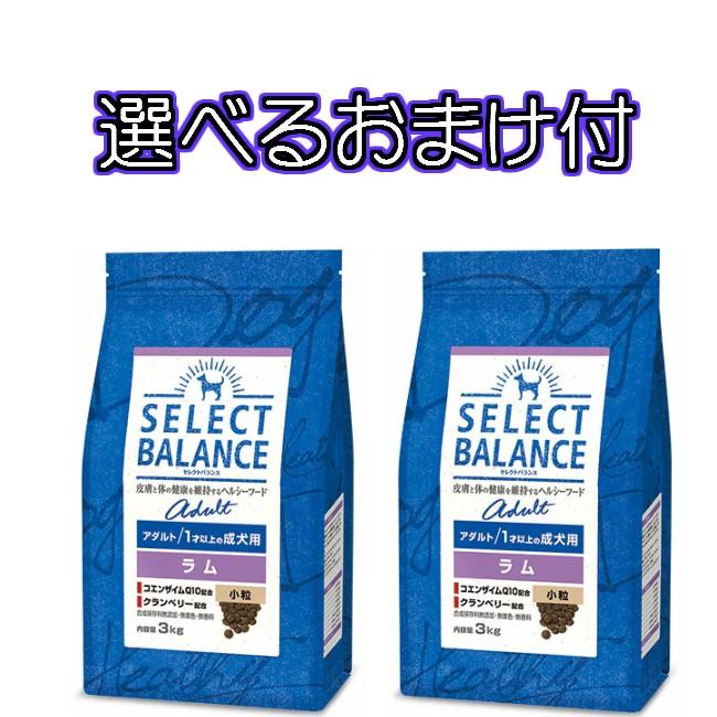 送料無料・選べるコング製品おまけ付】セレクトバランス・アダルト