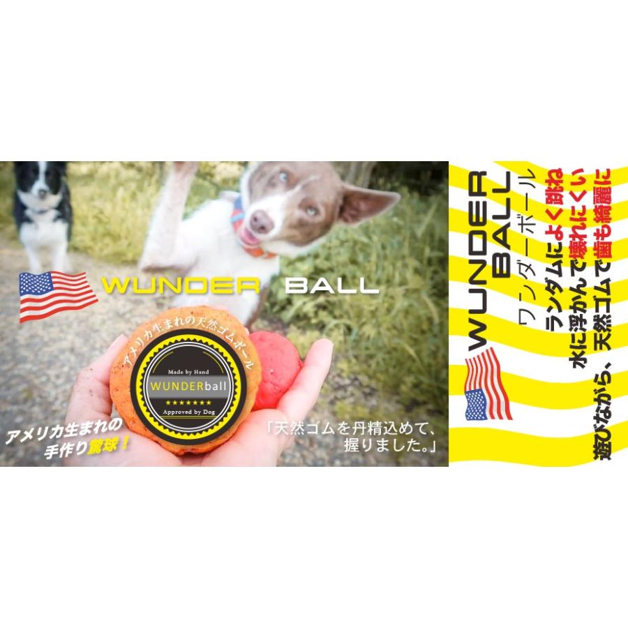 送料無料】ワンダーボール (Lサイズ・約8cm) : ペットグッズ りりあ