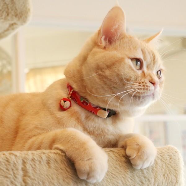 猫 首輪 「 紙風船 」 ( 鈴チャーム付き 仕様 ) 和柄 和風 結びタイプ