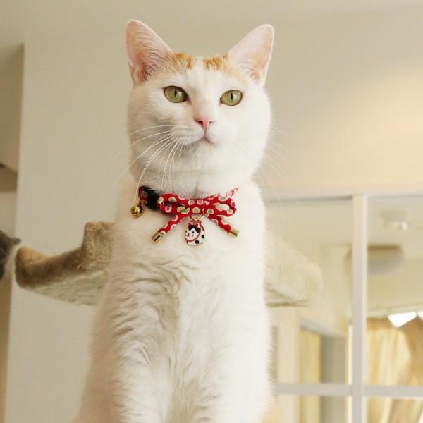 専用商品K-9566 おすわり猫チャーム(金魚) 水風船チャーム 専用商品K-9566 おすわり猫チャーム(金魚) 水風船チャーム