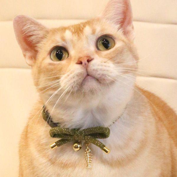 猫 首輪 「 さかな泥棒 」 ( 鈴付き仕様 ) 和風 和柄 かわいい