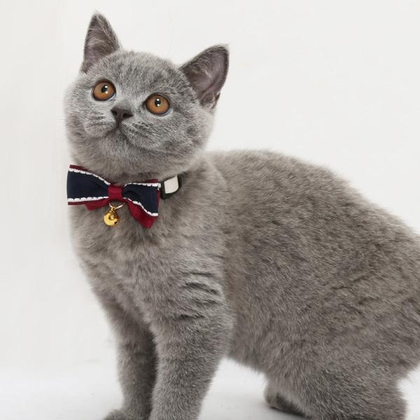 猫首輪 ツートンリボン 鈴付き 仕様 かわいい おしゃれ リボン 鈴