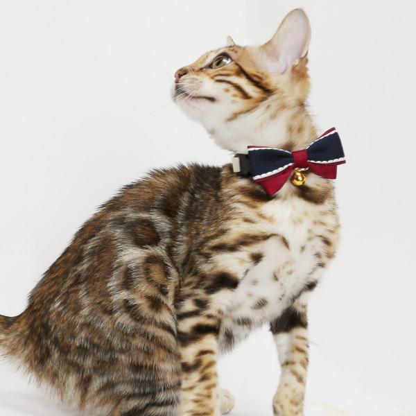 猫 首輪 名入れ 「 ツートンリボン 」 （ 迷子札付き 仕様 ） 名札