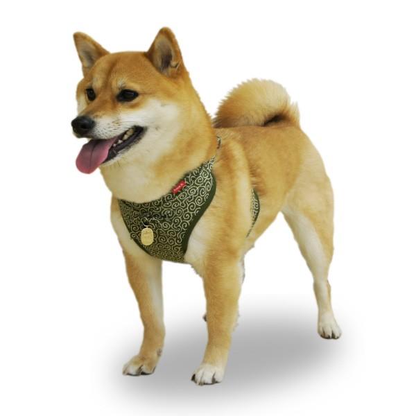 犬用 ハーネス 「 千万両 」( 1号 / 2号サイズ ) チャーム付き