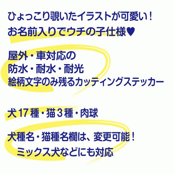 車用 犬 カッティングステッカー 名入れ 「 ひょっこり Mサイズ (14