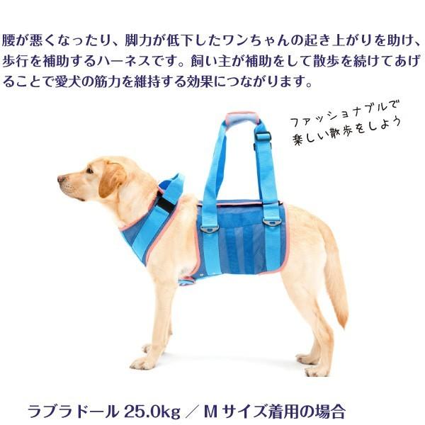 ［未使用］LaLaWalk 歩行補助ハーネス Mサイズ 歩行補助ハーネス ララウォーク クールメッシュ 「 大型犬用