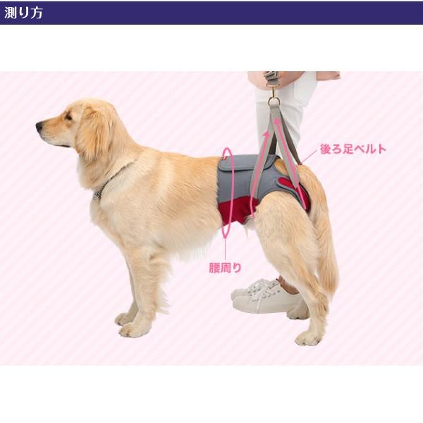 歩行補助ハーネス ララウォーク ヒップ ラズベリーグレー 大型犬用 Lalawalkhip 株式会社トンボ Lalawalkhip 03 ペットグラフィックプロダクト 通販 Yahoo ショッピング