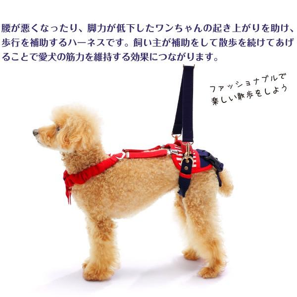 歩行補助ハーネス ララウォーク ホールド セーラーマリン 「 小型犬