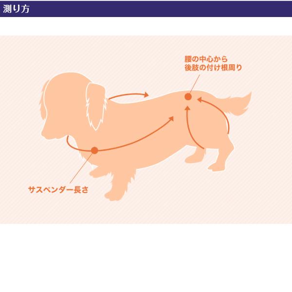 歩行補助ハーネス ララウォーク ホールド セーラーマリン 「 小型犬