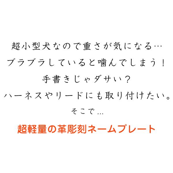 革彫刻ネームプレート 貼り付ける 超軽量 迷子札 首輪 接着 Leather Nameplate 02 ペットグラフィックプロダクト 通販 Yahoo ショッピング