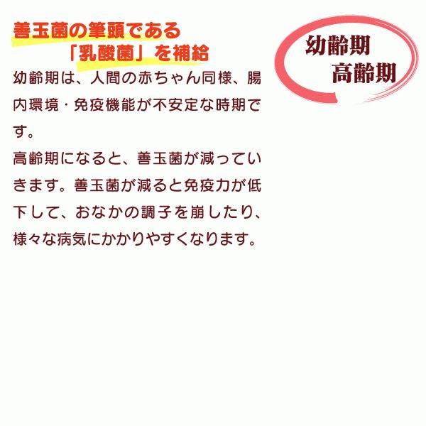 値頃 犬用品 フン臭 尿臭をガード 猫用 乳酸菌 ラクトドレッシング 180ml 生きてる乳酸菌 約5 8億個 Ml フン臭 尿臭 下痢 軟便 ペットフード安全法 安全基準値 クリア 国産 Www Threeriversofs Com