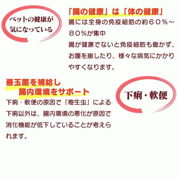 うさぎ用 乳酸菌 ラクトドレッシング 180ml 生きてる乳酸菌 約5 8億個 Ml フン臭 尿臭 下痢 軟便 ペットフード安全法 安全基準値 クリア 国産 Let D Labit ペットグラフィックプロダクト 通販 Yahoo ショッピング