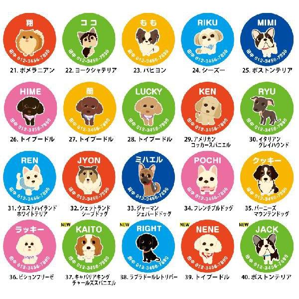 犬 迷子札 名入れ 「 LOVEわんこ シリーズ 」 濡れても安心 防水仕様