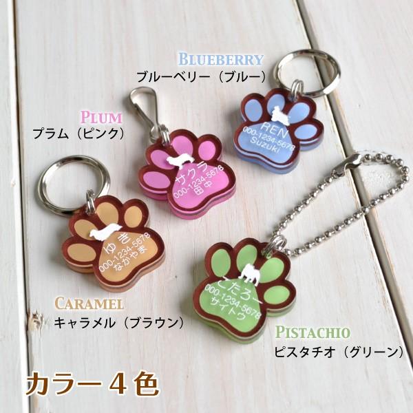 犬 迷子札 名入れ 「 マカロンカラー 肉球 」（ 両面彫刻 ） アクリル