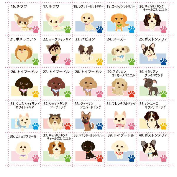 ❌犬好き(❀ᴗ͈ˬᴗ͈)