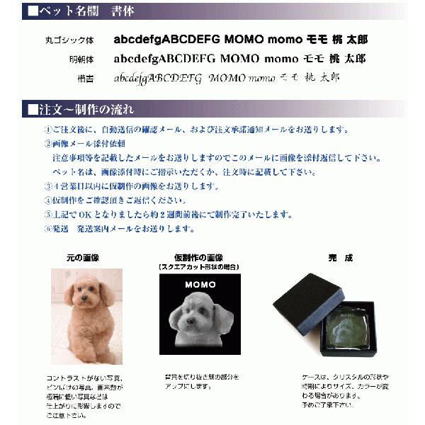 MYフォト メモリアルクリスタル（オーダーメイド）犬の位牌 猫の位牌 お供え｜petgp｜02