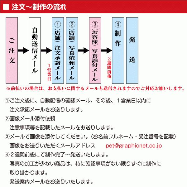 メモリアル 犬 猫 「 MYフォト メモリアルクリスタル ( ブリリアントカット )」 形状3種類 オーダーメイド クリスタルガラス ペット 位牌 お供え 思い出 彫刻_8