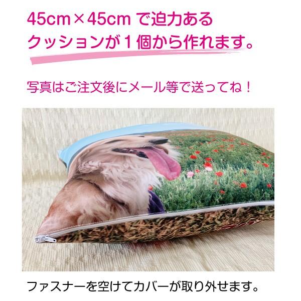 Myフォト オリジナル クッション 低反発仕様 45cm 45cm 全面印刷 切り抜き画像加工 My Phot Kusyon 2 ペットグラフィックプロダクト 通販 Yahoo ショッピング