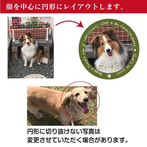 オリジナル ペット 写真 グッズ わんこのおやつ入れ Myフォト オリジナル トリーツ缶 トリーツケース My Phot Tcan ペットグラフィックプロダクト 通販 Yahoo ショッピング