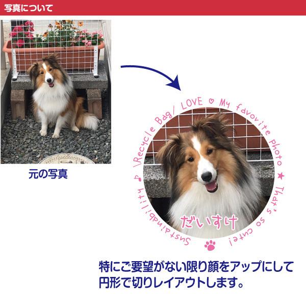 犬 エコバッグ コンビニ袋型 写真入り MYフォト ＜ 破れたり 裂けたりしにくい リサイクルエコバッグ ＞ サスティナブル ECO オリジナル｜petgp｜11