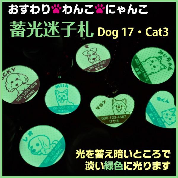 迷子札 犬 猫 蓄光 おすわりわんこにゃんこ 20種類 暗いところで光る
