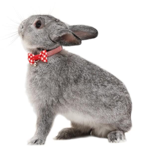 うさぎ用首輪 オセロカラー（鈴付き仕様） :rabbit-othello-c01:ペット 