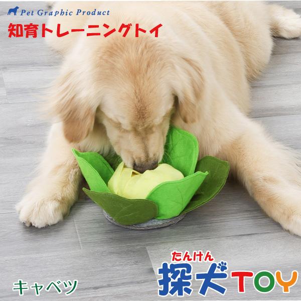 知育玩具 ノーズワークペット 探犬トイ キャベツ オプション おもちゃ ストレス解消 Grupozayneducacional Com Br