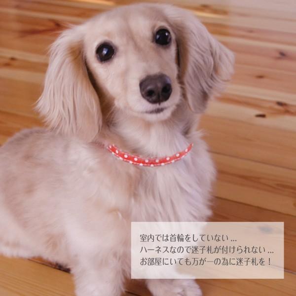 犬 チョーカー 長さ調整 ＜ バックルタイプ 50cmまで ＞ ハーネス派にオススメ （1cm幅、50 cmフリーカット）｜petgp｜04