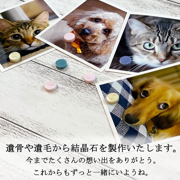 遺骨から結晶石アドニード リリアン 遺骨ペンダント 遺骨カプセル ペット仏具 刻印 ミニ骨壷 ペットメモリアル 遺灰 ペットロス 犬 猫 名入れ 