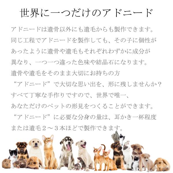 遺骨から結晶石アドニード リリアン 遺骨ペンダント 遺骨カプセル ペット仏具 刻印 ミニ骨壷 ペットメモリアル 遺灰 ペットロス 犬 猫 名入れ 