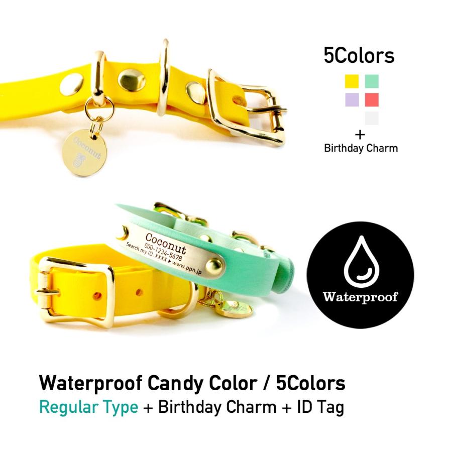 犬 首輪 防水 おしゃれ CandyColor 15mm 小型犬 中型犬 Biothane素材