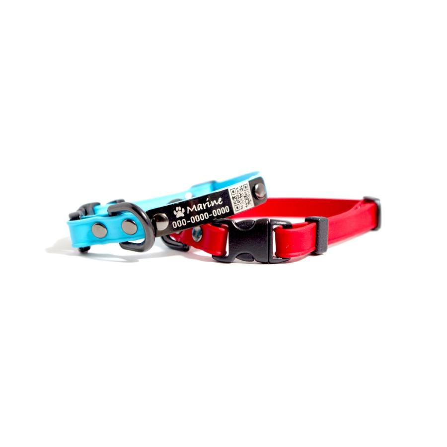 犬の首輪 シートベルトバックル グリーンランタン ロゴ コラージュ 風化グリーン 幅18~32