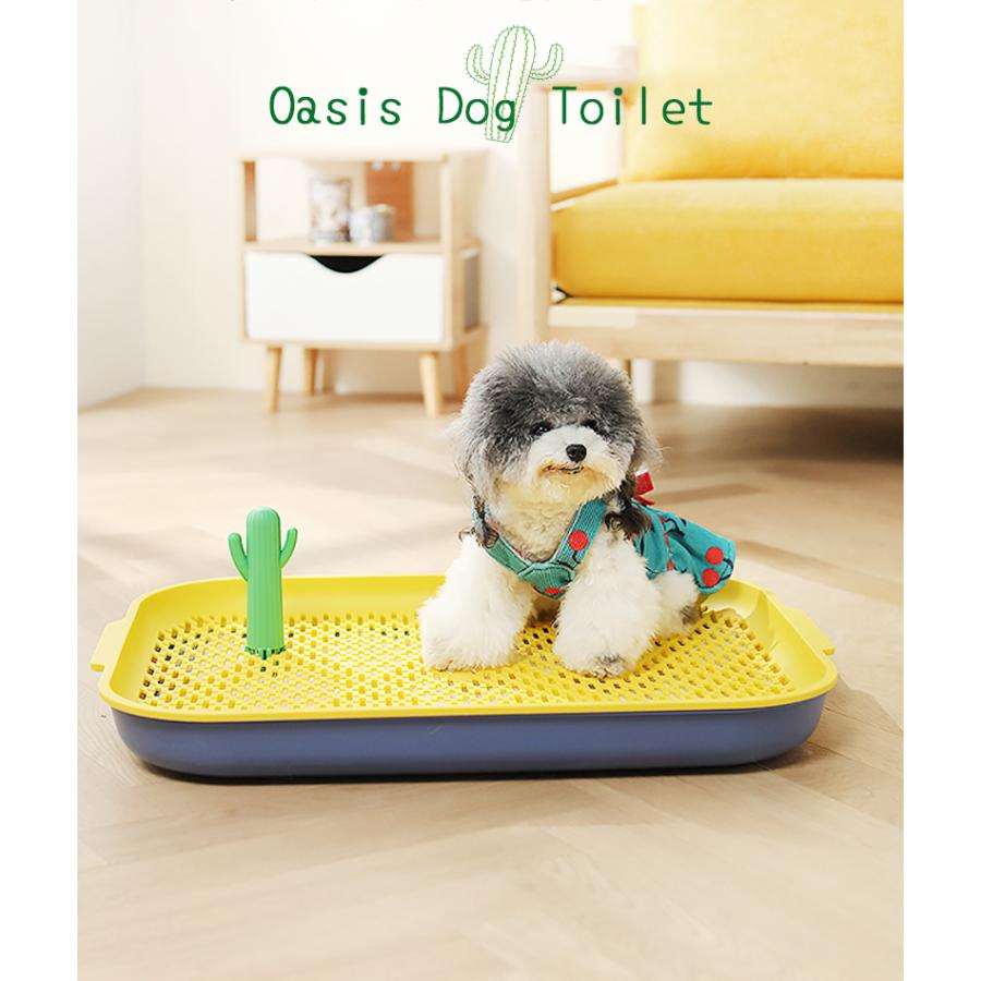 しつけ 犬 マーキングポール トイレ 囲い 飛び散りにくい トイレトレー おしゃれ カラフル サボテントイレトレーニング Petifam オアシスドッグ トイレ ワイド Copy ペットグッズ専門店petifam 通販 Yahoo ショッピング